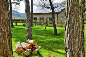 A Charming Country Cottage in Rural Mid Wales